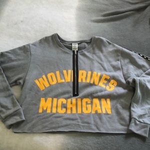 NWOT PINK Collegiate Cropped Sweatshirt